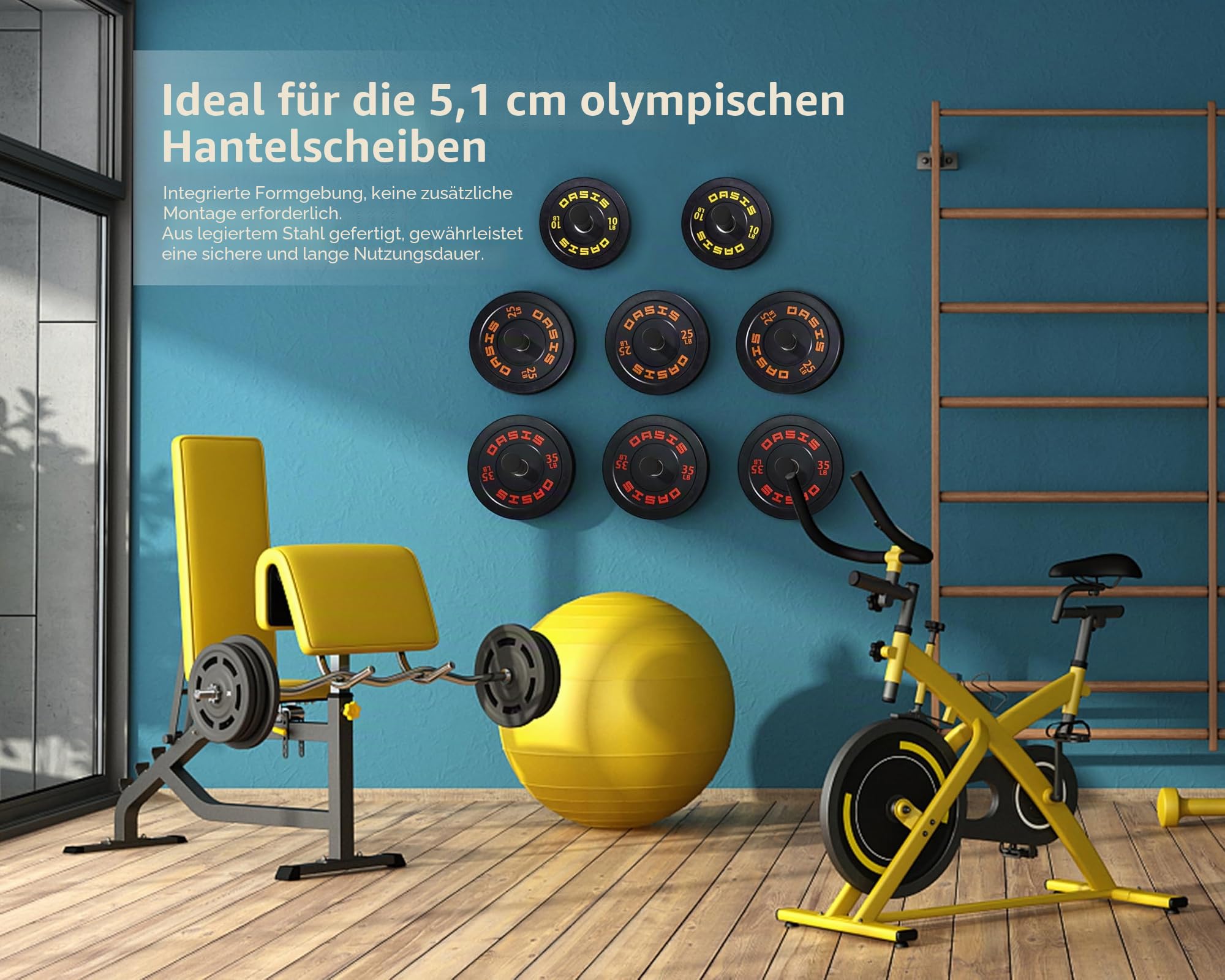 Hantelscheibenhalter, Wandmontage, zur Aufbewahrung von 5,1 cm olympischen Hantelscheiben, 4 Stück