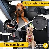 Ver la foto 4