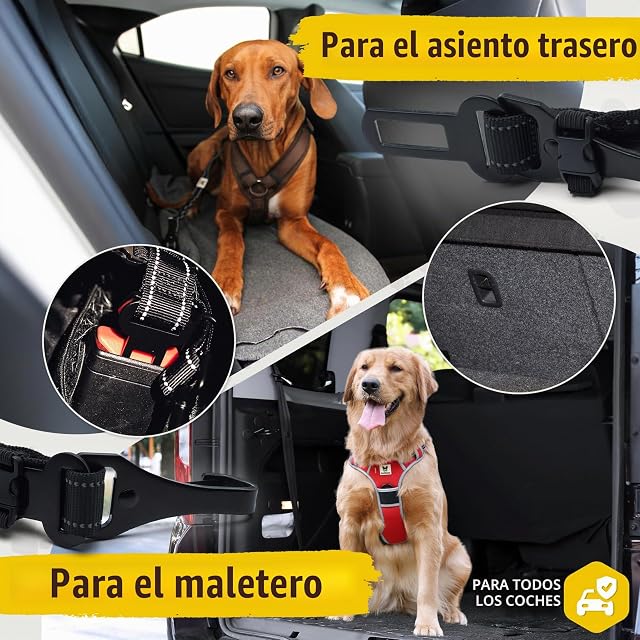 Foto 4 de 7 de Hundefreund Cinturón de Seguridad para Perros
