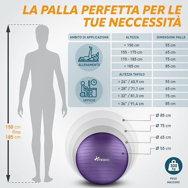 TRESKO Palla Fitness, Palla Pilates Anti-Scoppio 55cm/65cm/75cm/85cm Palla da Ginnastica con Pompa Rapida per Fitness Yoga e Pilates - 5