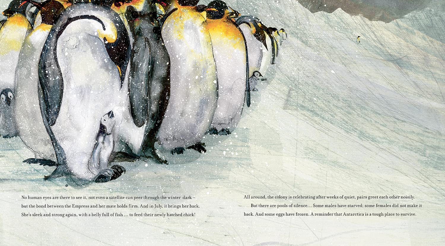 Emperor of the Ice: How a Changing Climate Affects a Penguin Colony
