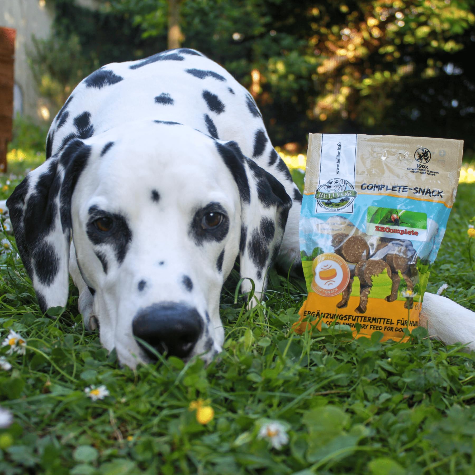 Bellfor Spuntino completo ZEComplete per cani – 3x150g spuntino per cani senza cereali con materie prime naturali e alta concentrazione di acido laurico