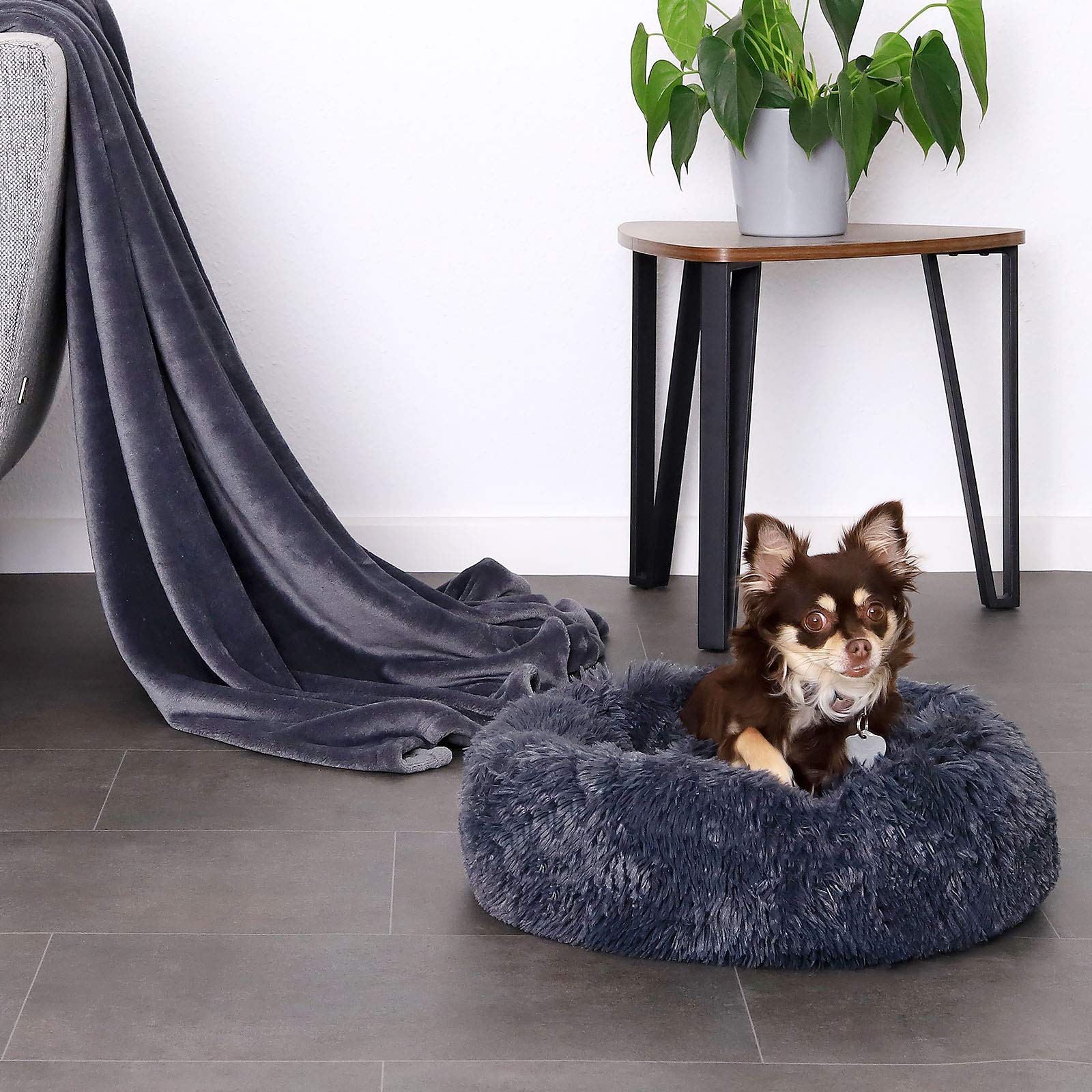 lionto Donutbed voor honden en katten, pluizig rond hondenbed voor kleine en grote huisdieren, (XXL) 80 cm , zacht kattenbed van knuffelpluche, hondenkussen met extra dikke vulling, lichtgrijs