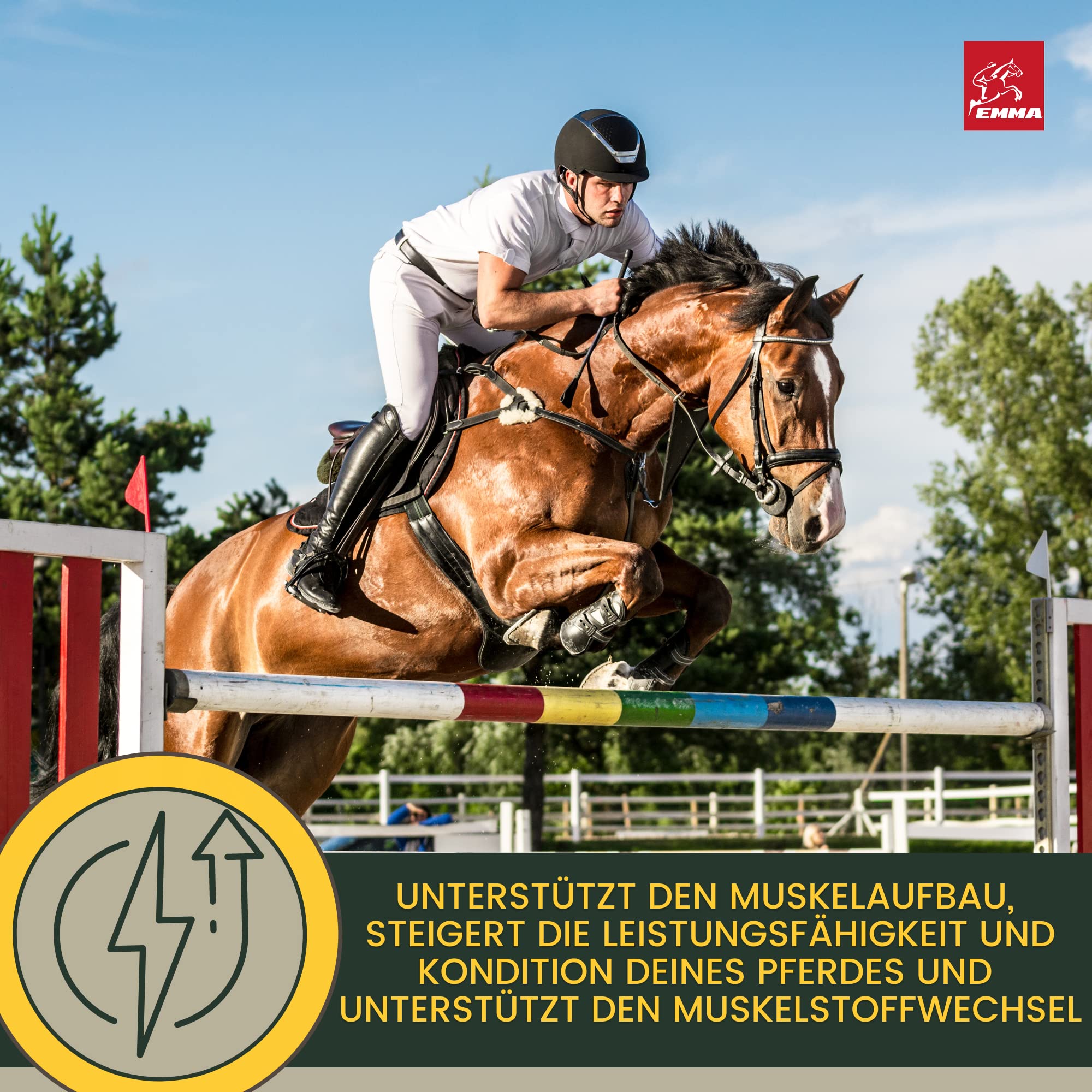 Líquido de Refuerzo Muscular para Caballos con Aceite de Germen de arroz Vitamina E Caballo Aceite de linaza I alimento reconstituyente I vitaminas alimento suplementario para el Refuerzo Muscular 1L