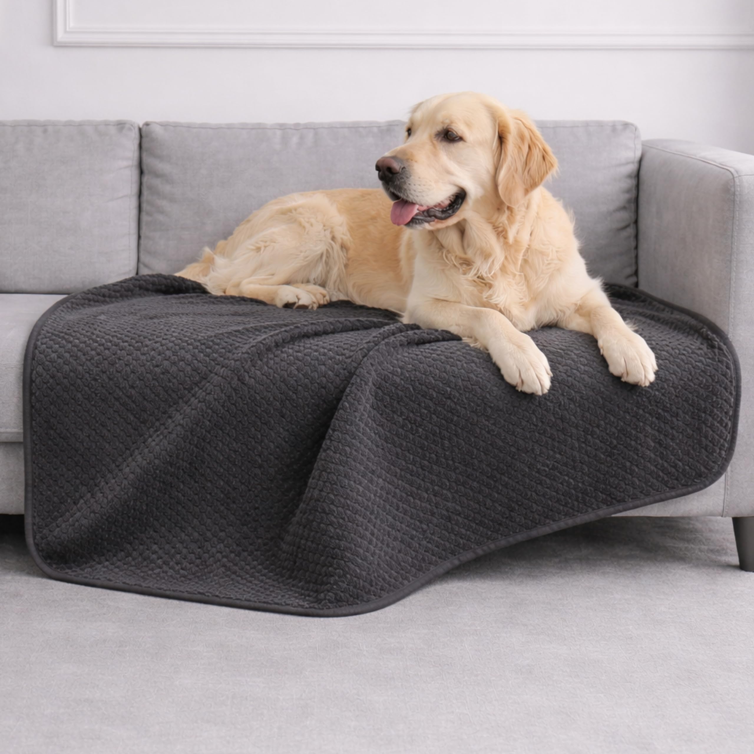 Dreamzie Coperta Impermeabile per Cani 100x120cm - Copridivano Impermeabile per Animali - Reversibile e Lavabile in Lavatrice in Pile Sherpa per Letto o Divano - Grigio scuro