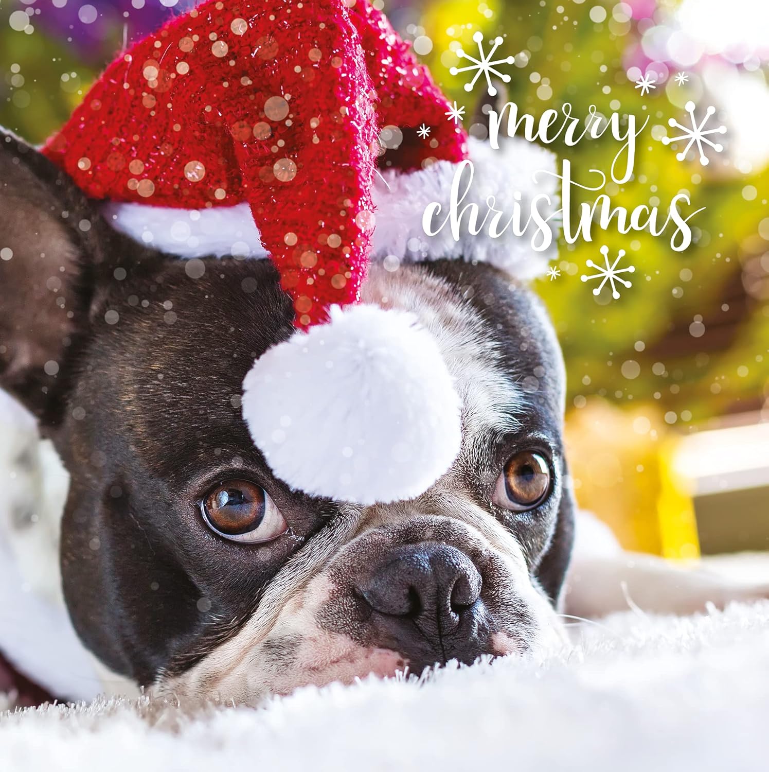 Emotional Rescue Christmas Cards Multi-pack, 12 Multi-pack Christmas Cards, 4 Different Designs, Pack of 12 Multi-pack Christmas Card, Animal Christmas Card Multipack, Christmas Cards Pack, AMZBRIGHT2