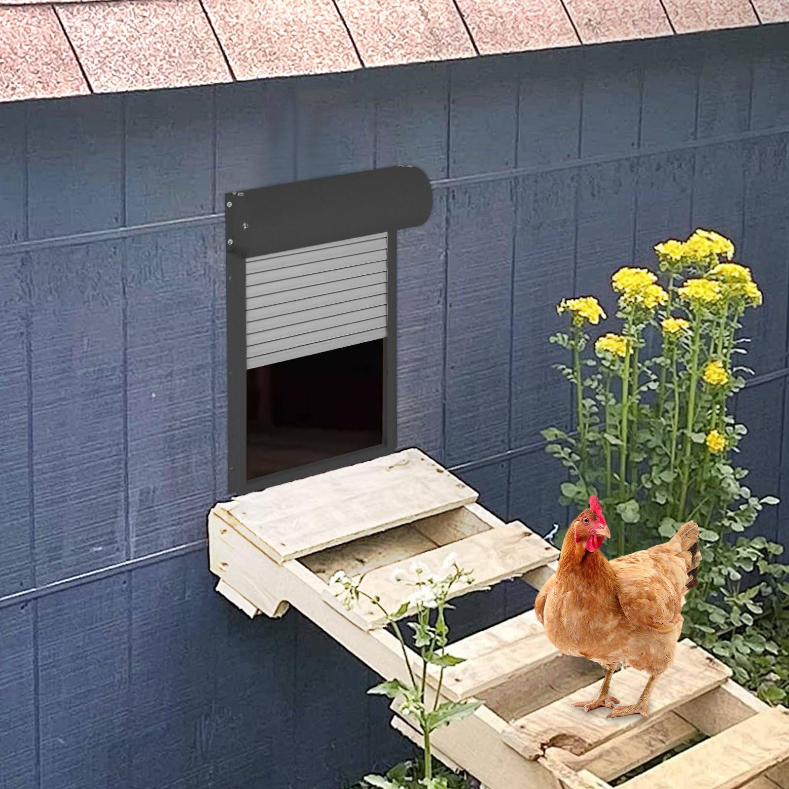 Puerta automática de gallinero solar de 5 W, puerta automática para gallinero, puerta eléctrica automática con mando a distancia, para gallinas, gansos, patos y otras aves pequeñas (negro)