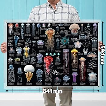 【映画館用両面ポスター】ライフ・アクアティック ライフ・アクアティック 映画 動画配信 ネット 視聴