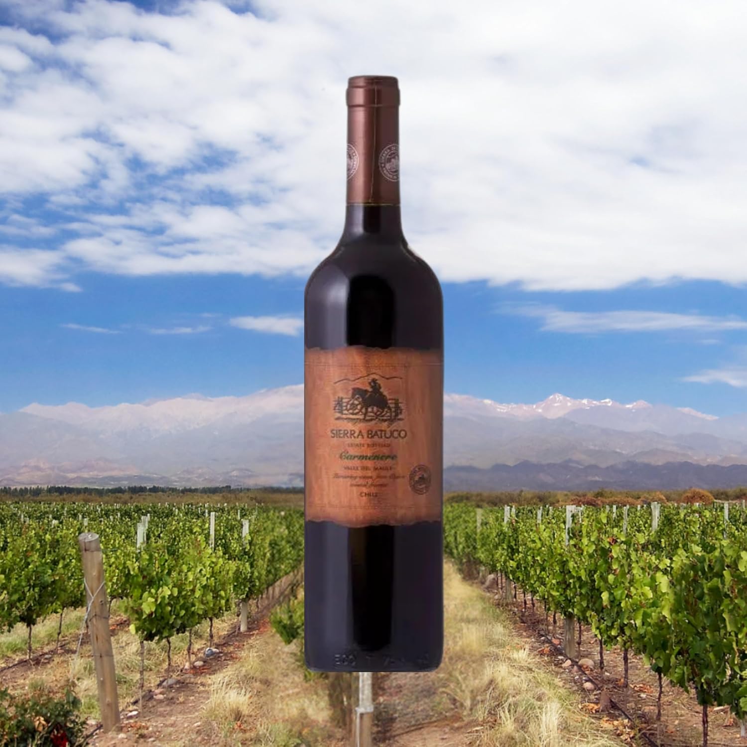 Garrafa de vinho tinto Sierra Batuco Carmenere 750ml em um cenário de vinhedo e montanhas ao fundo.