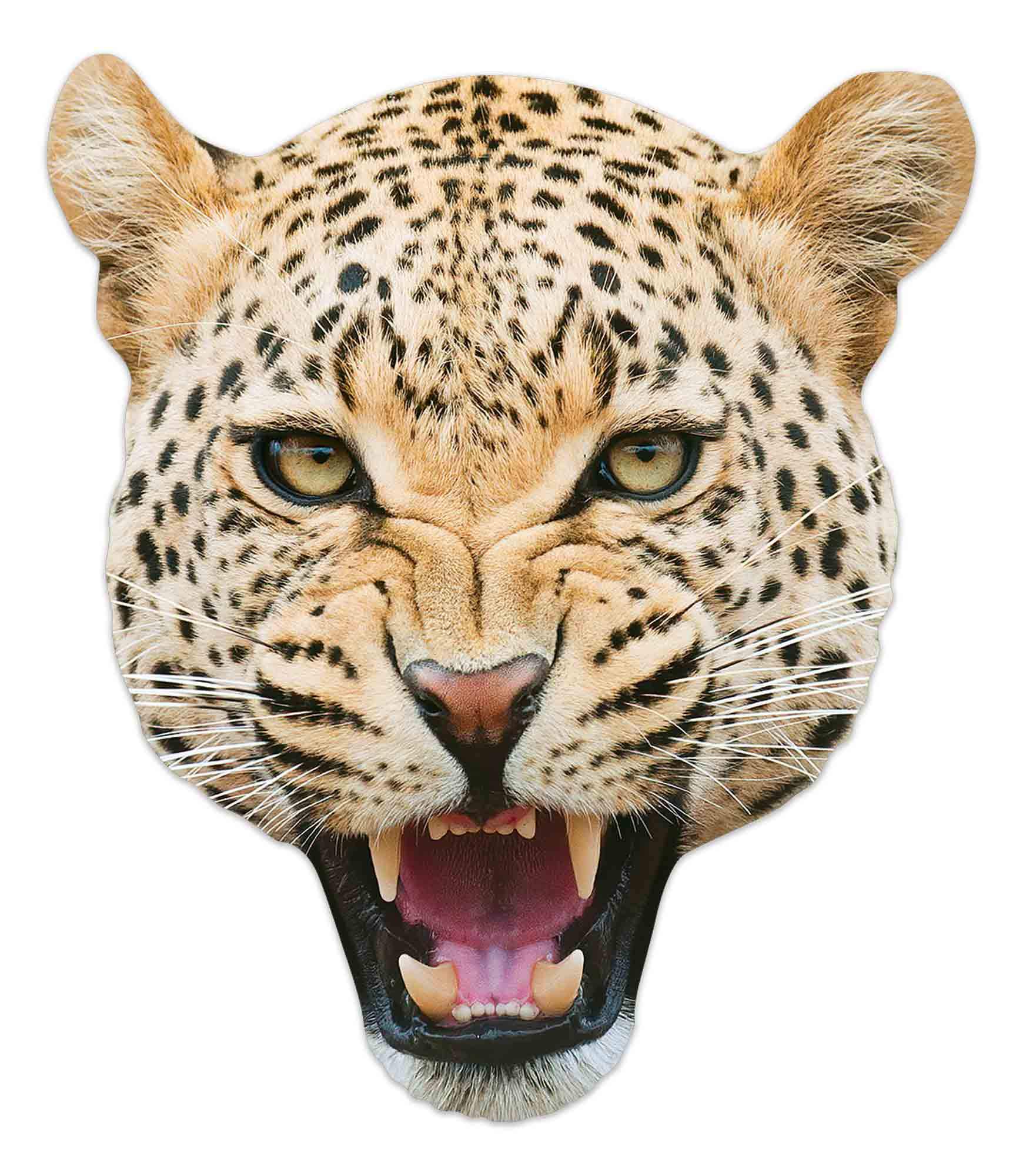 STAR CUTOUTS Ltd Leopard Single Face Mask l Animal Masks, Multicolour