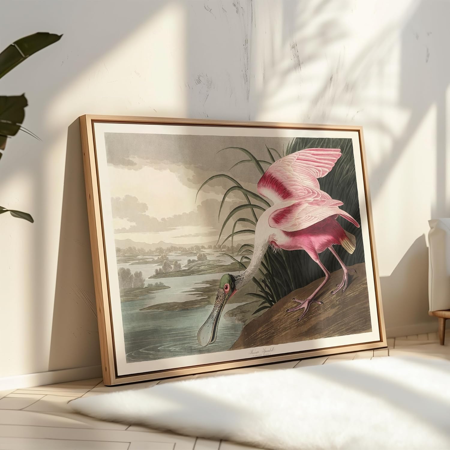 Poster Master Vintage James Audubon Poster - Retro Roseate Spoonbill Print - Birds of America Art - Gift for Him, Her & Animal Lover - Decor for Dorm, Living Room or Bedroom - 16x20 UNFRAMED Wall Art
