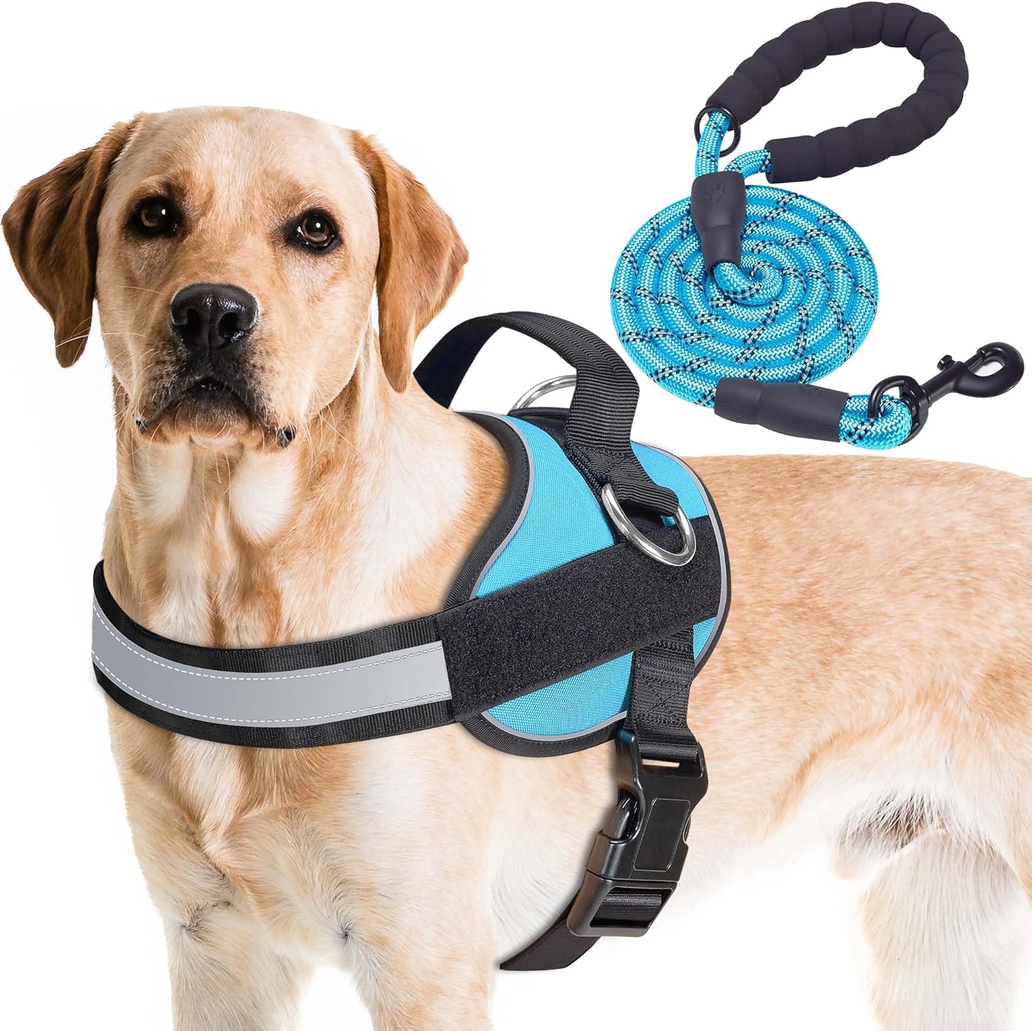 Haapaw Important Canine Harness, No Pull Pet Vest with 3 Leash Clips, No Choke, Reflective, Adjustable and Padded, for Straightforward Strolling and Coaching for Giant Canine(L, Blue)