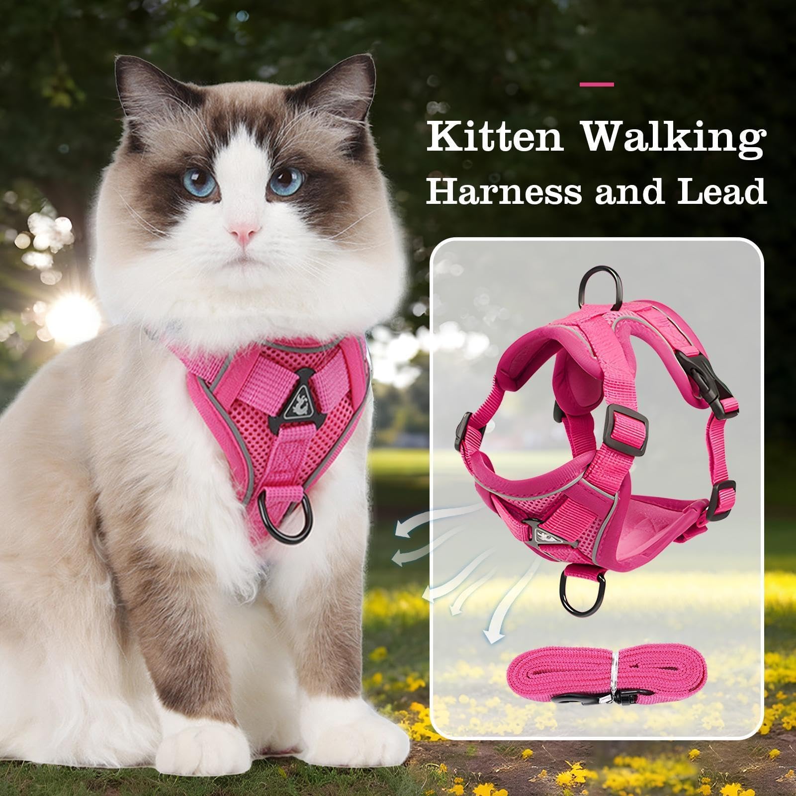 Harnais anti-fugue pour chat avec laisse de jogging, design anti-fuite, contrôle facile, caractéristiques réfléchissantes pour la marche en plein air et la sécurité