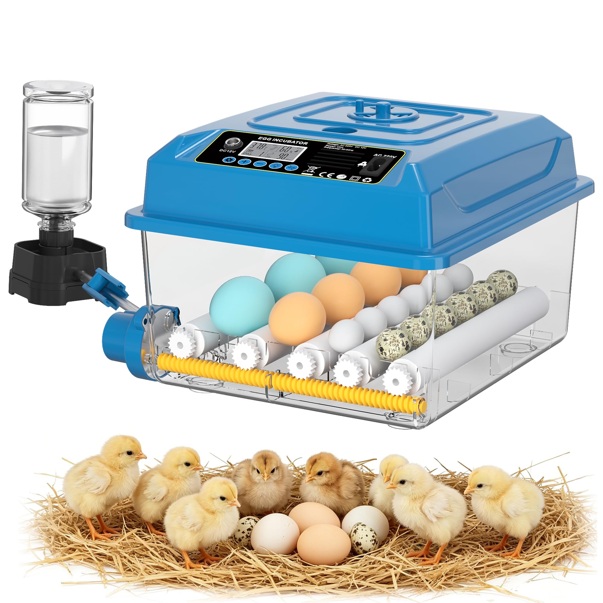 Chalixion Incubatrice automatica per 16 uova, regolatore acqua esterno, controllo temperatura, rotazione uova automatica, display giorni di cova, per galline, anatre, oche, quaglie (Blu)