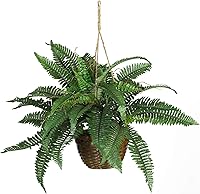 Vista 5 de Nearly Natural Helecho gigante de Boston de 26 pulgadas con cesta colgante de cono