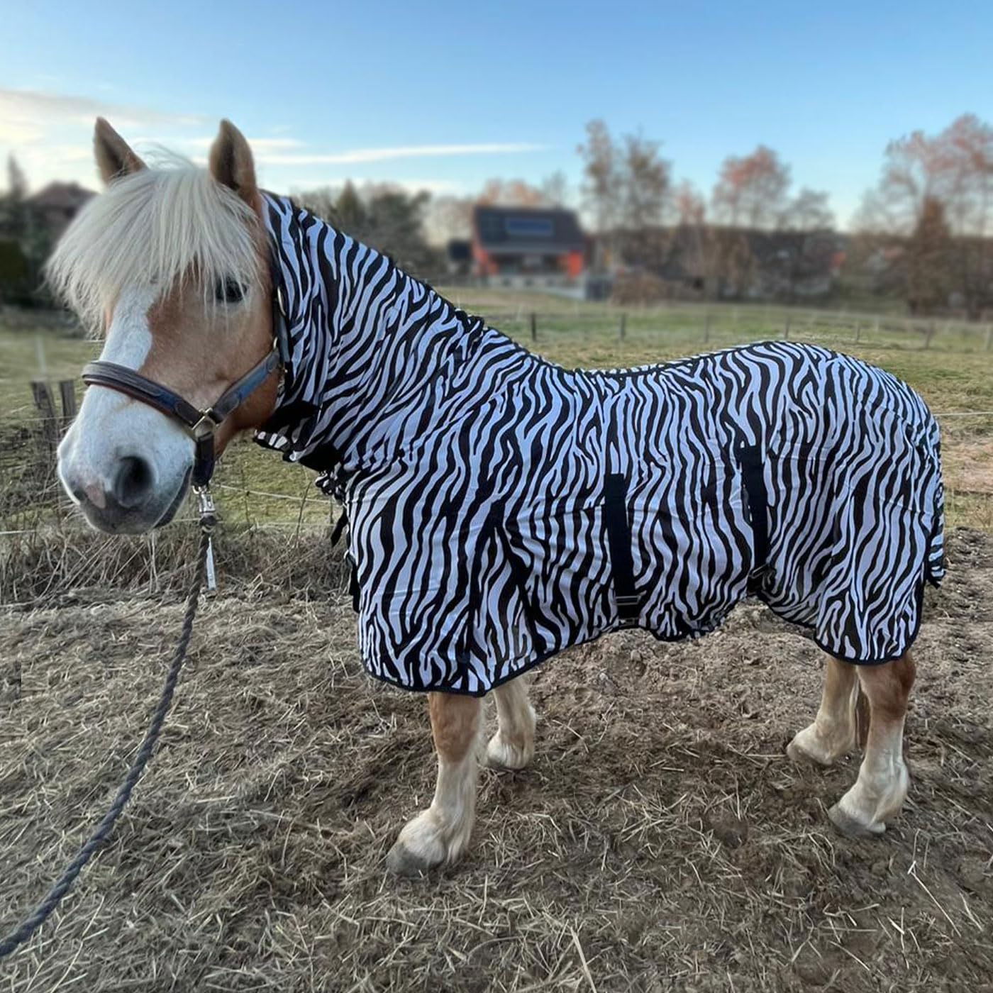 Brama-West 135 Manta antimoscas con cuello para caballos, ZebraProtect – Manta para caballos contra insectos molestos con cinturones abdominales, cierre frontal, pliegue y cola – Manta para insectos