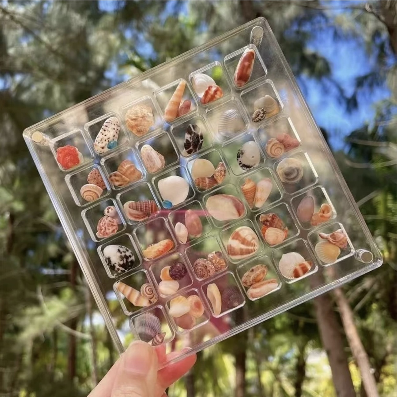 Zerodeko Floating Display Box - Clear Transparent Case For Jewelry, Seashells, Crafts (6.8x6.8x2 Cm, 9 Pieces)