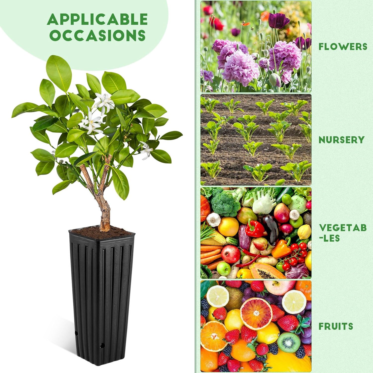 YARNOW 50 Pcs Tall Nursery Pots Plastic Nursery Pots Deep Nursery Pots Plastic Grow Bags, with Drainage Holes (4.7" W x 11.2'' H)