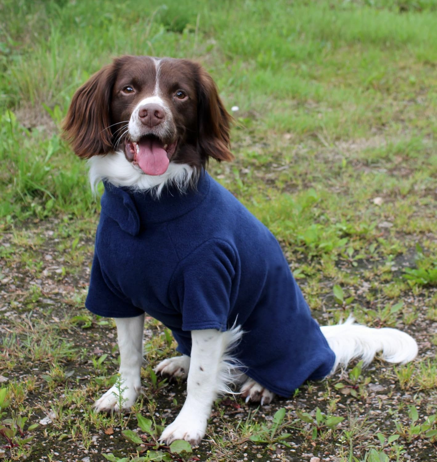 Cosipet Fleece Coat, 16-inch/ 41 cm, Blue, 16-inch/41 cm - Image 3