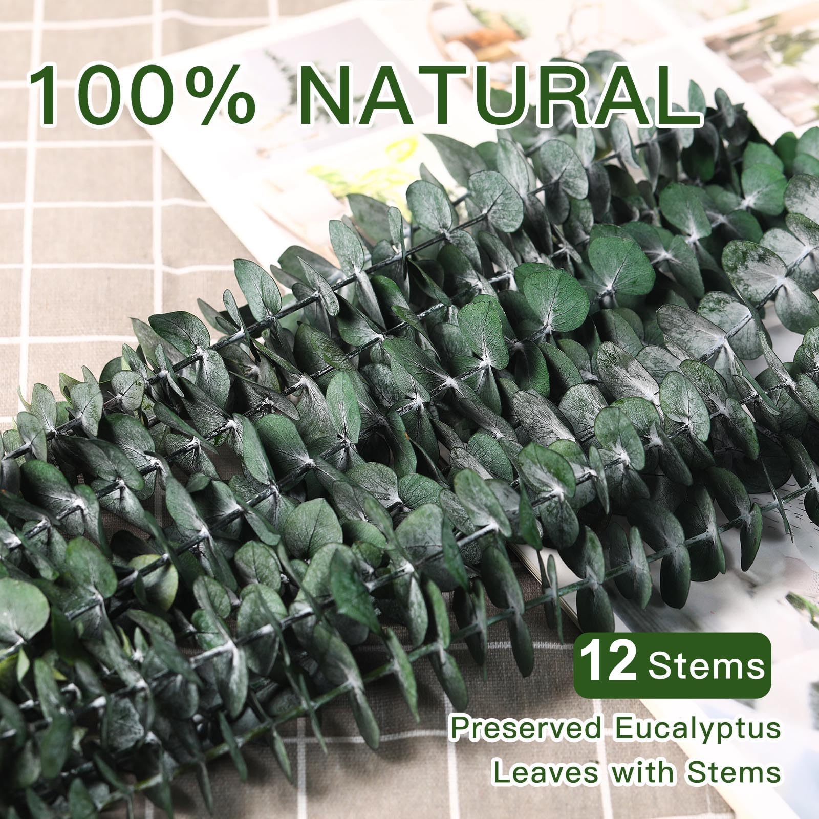 12 Pcs Eucalipto Secado Naturales Flores Secas 45cm, Ramas Eucalipto Artificial, Unidades de Seco Natural, Decoracion Follaje Artificial, para Bodas, Fiestas, Hogar, Arreglos Florales