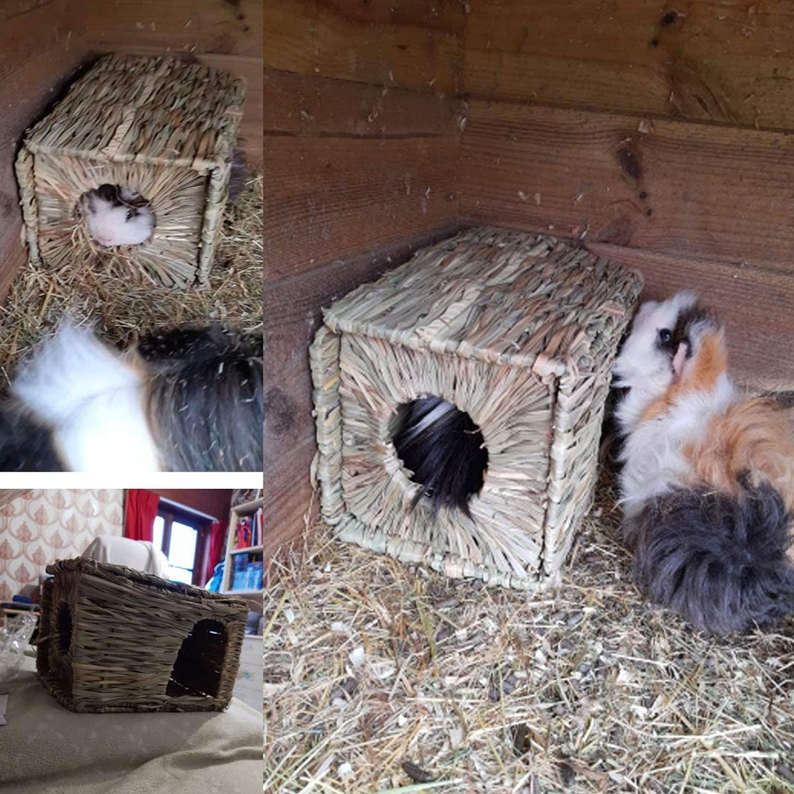 Tfwadmx Paquete de 2 Casas de Hierba de Conejo, Cama Cueva de Heno Tejida a Mano Natural, Juguete Plegable para Conejo, Hámster, Cobaya, Chinchilla, Hurón