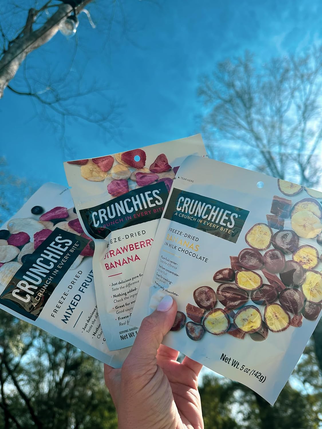Crunchies Freeze-Dried Fruits, 100% All Natural Crispy Fruit, Non GMO and Kosher, Resealable Freeze Dried Fruit Snack Packs, Pack of 6 (Banana Lovers Variety Pack)