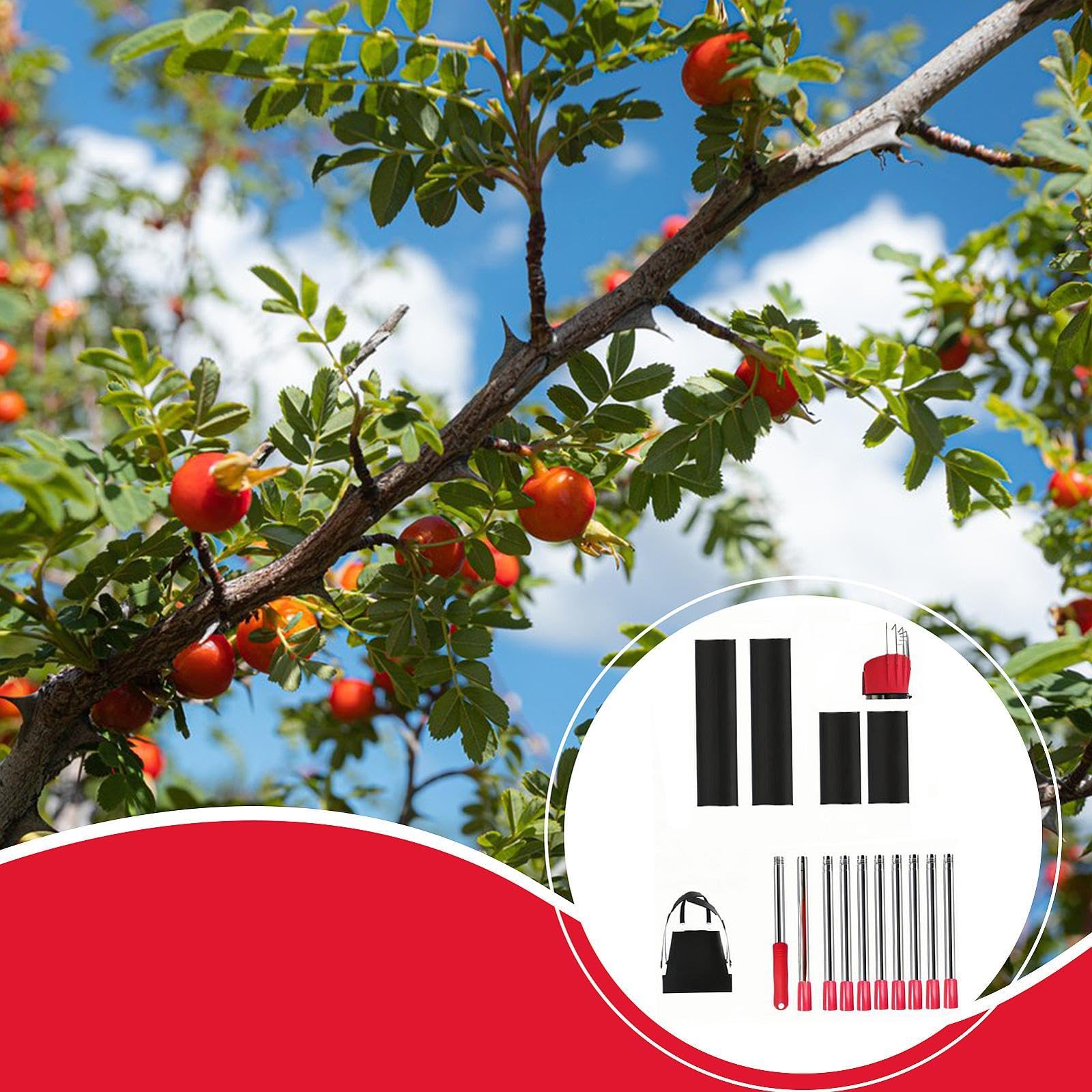 Qianly Palo per La Raccolta della Frutta, Utensile Manuale, Fornisce Strumenti per La Raccolta per L'azienda Agricola,