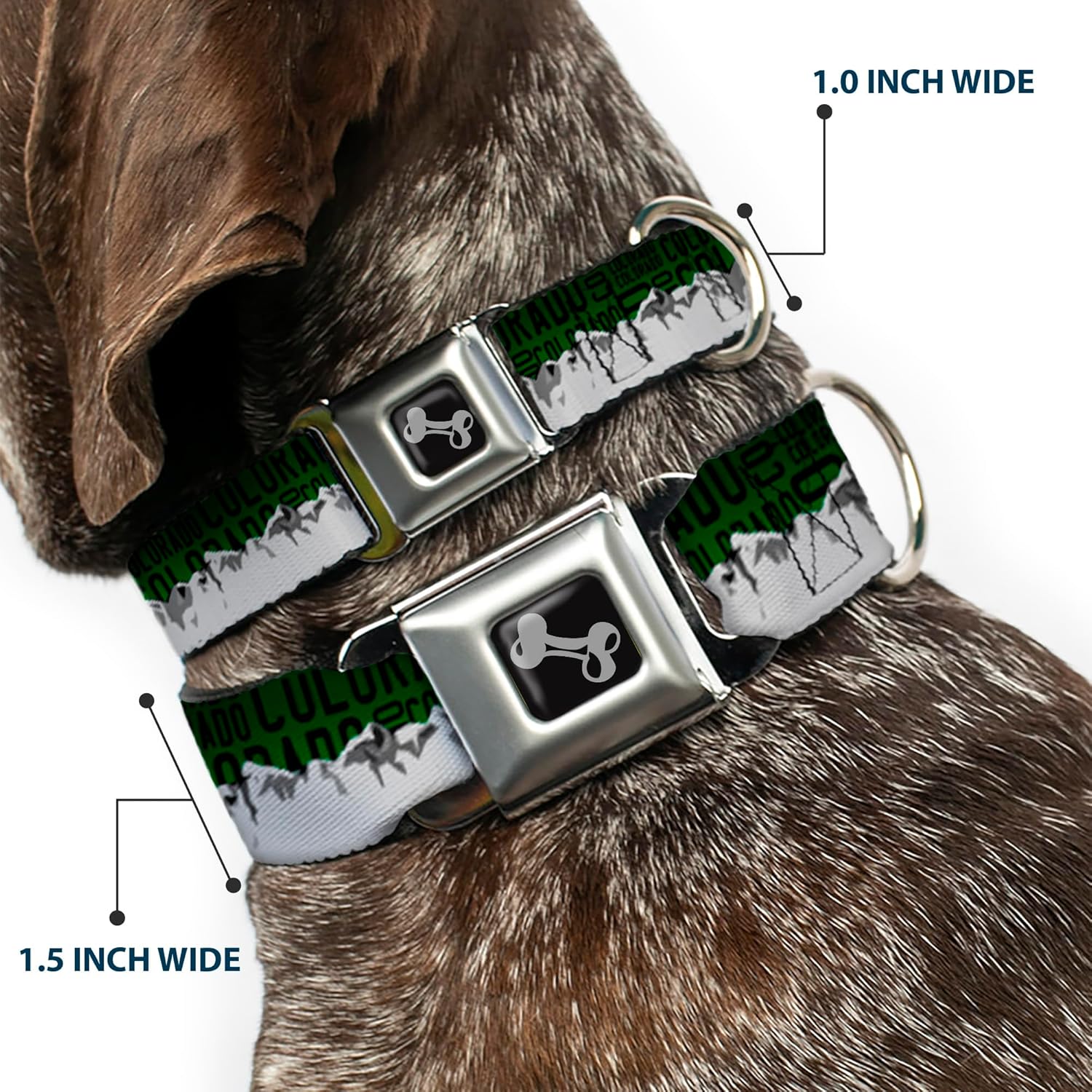 Buckle-Down 15-26" Colorado Mountains Green/Black Text/Grays Dog Collar Bone, Large