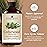 Handcraft Blends Organic Cedarwood Essential Oil - 1 Fl Oz - 100% Pure and Natural - Premium Grade Essential Oil for Diffuser and Aromatherapy