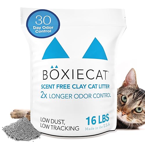 Boxie Unscented 30 Day Odor Control Clumping Clay Cat &