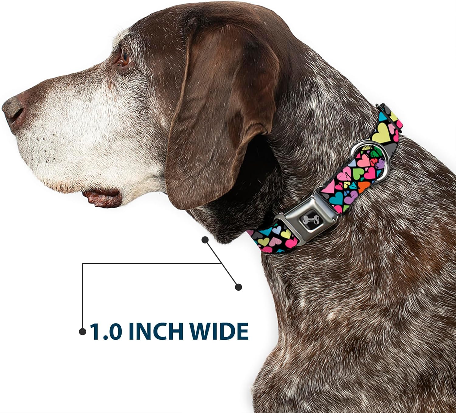 Buckle-Down Seatbelt Buckle Dog Collar - Hearts Black/Multi Color - 1.5" Wide - Fits 18-32" Neck - Large, DC-W30816-WL