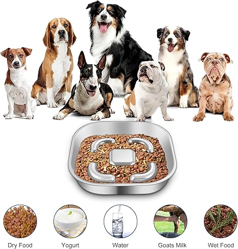 Miniatura 2 de Cuenco de acero inoxidable para perros de alimentación lenta, cuenco de metal para perros de alimentación lenta con alfombrilla de silicona