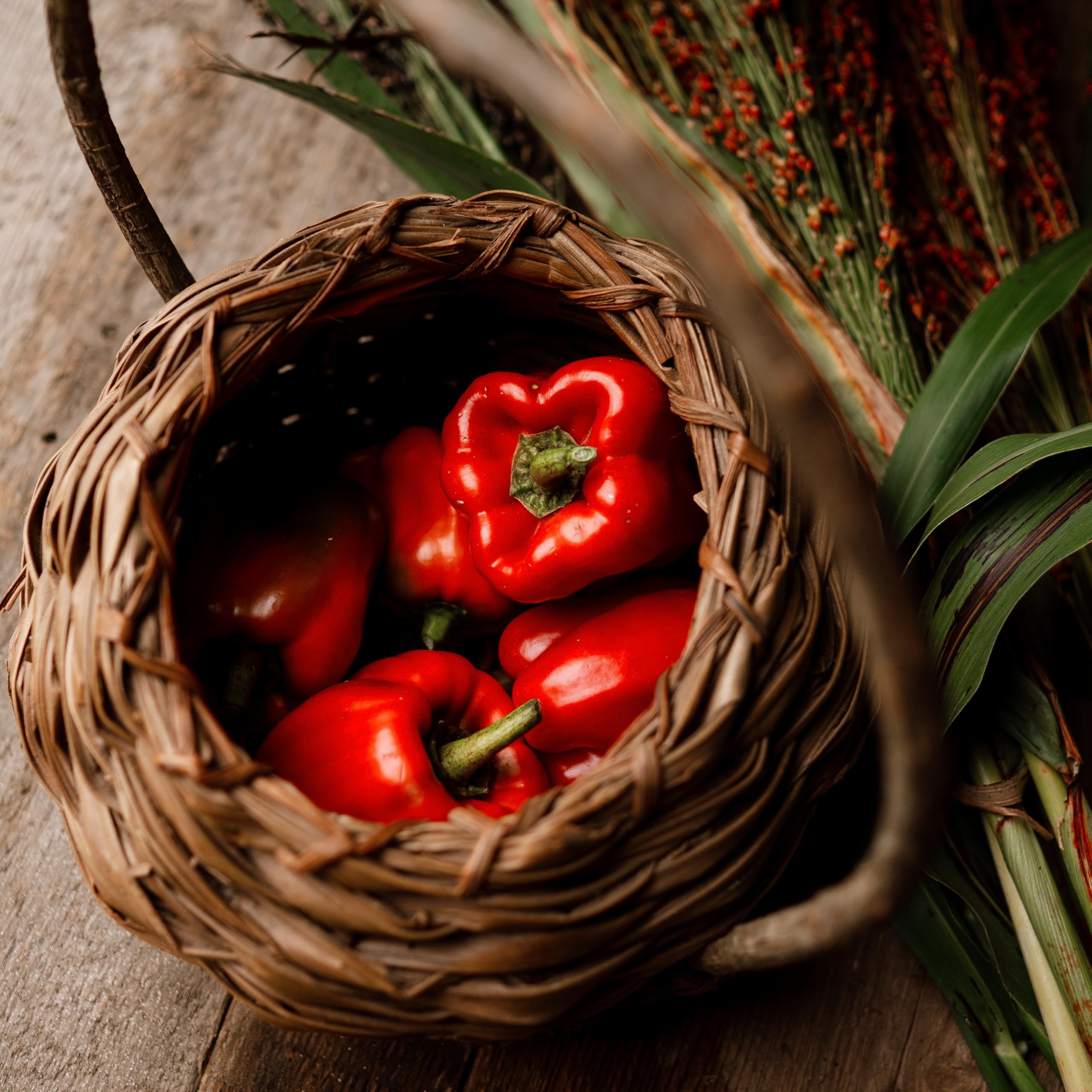 レッドペッパー Amazon.com : Ozark Giant Red Bell Pepper - 25 Seeds - Sweet