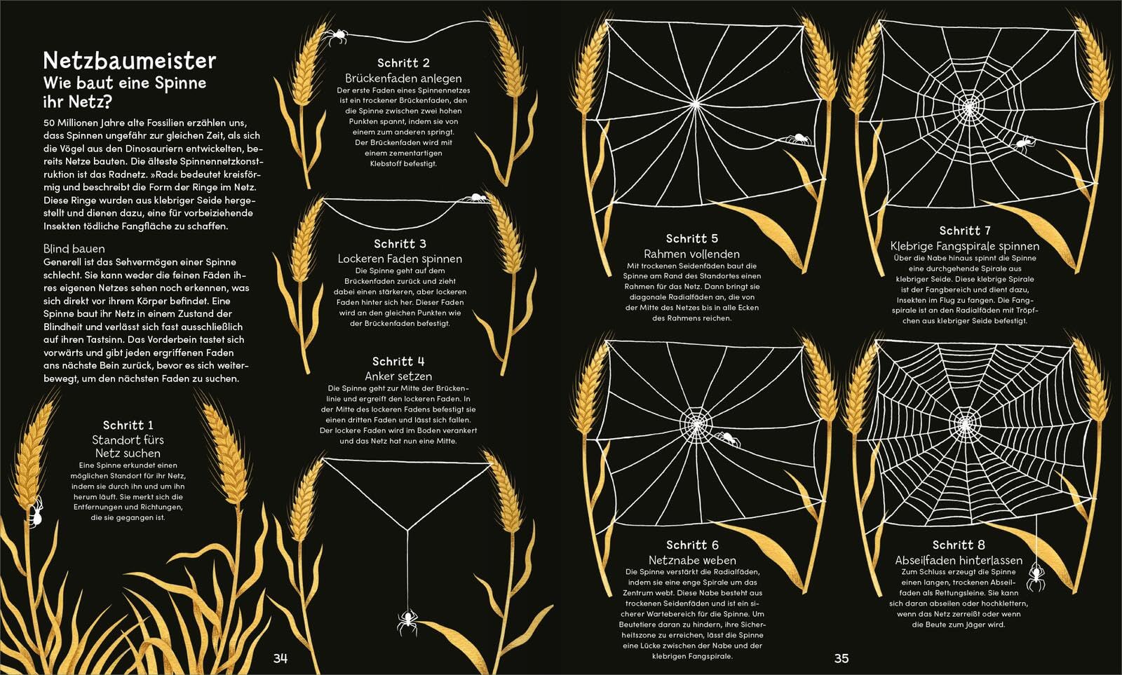 Wunderwelt der Spinnennetze: Ein besonderes Kindersachbuch ab 8 Jahren über Spinnen und ihre faszinierenden Netze – mit Silberfolie