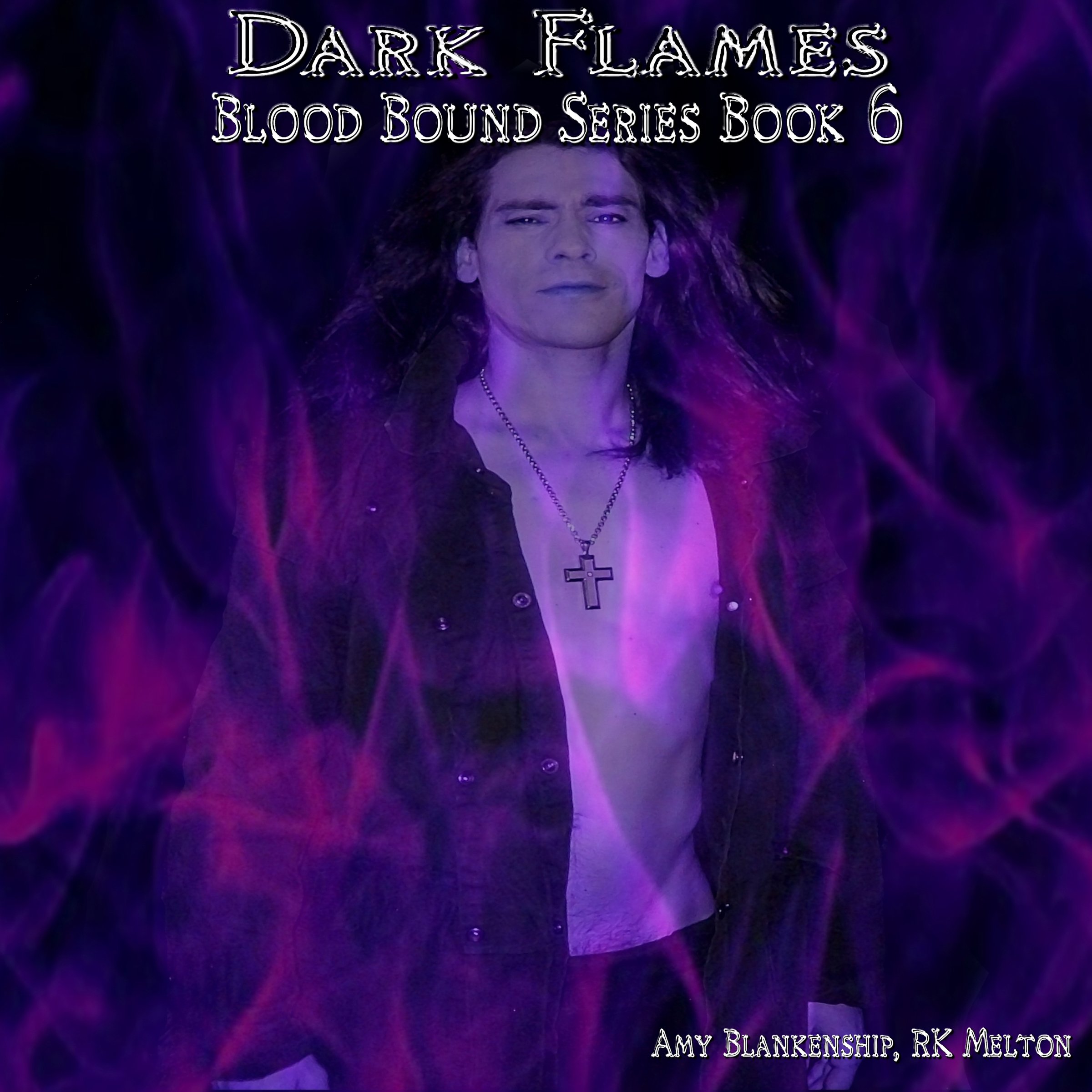 Cover art for Dark Flames