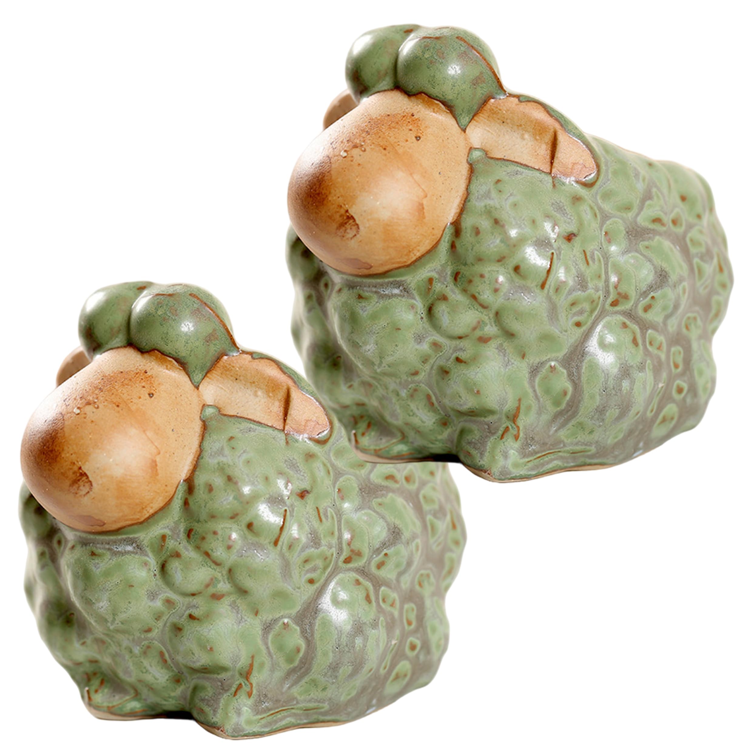 Jardinière succulente céramique double usage pour plantes de maison