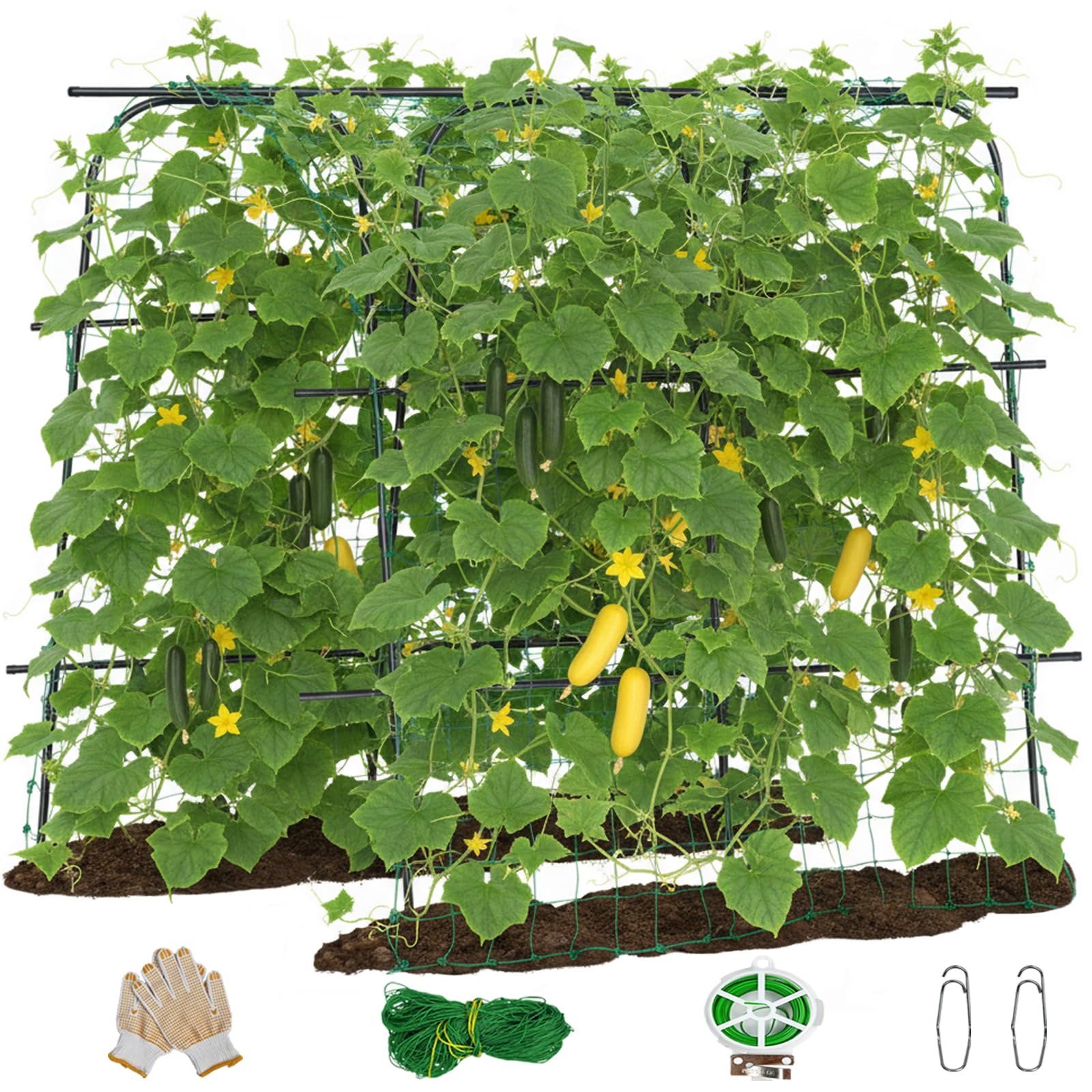 Treillis de concombre en arc pour optimiser le potager et cultiver les légumes