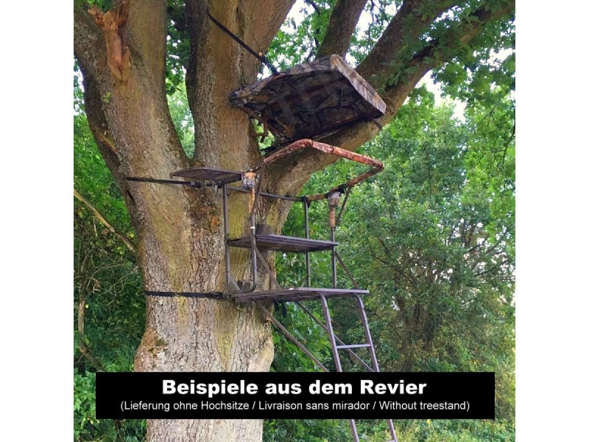 SUTTER Praktisches universelles Hochsitzdach/Einfach am Baum befestigen/Für Hochsitze, Ansitze, Baumleitern und mehr