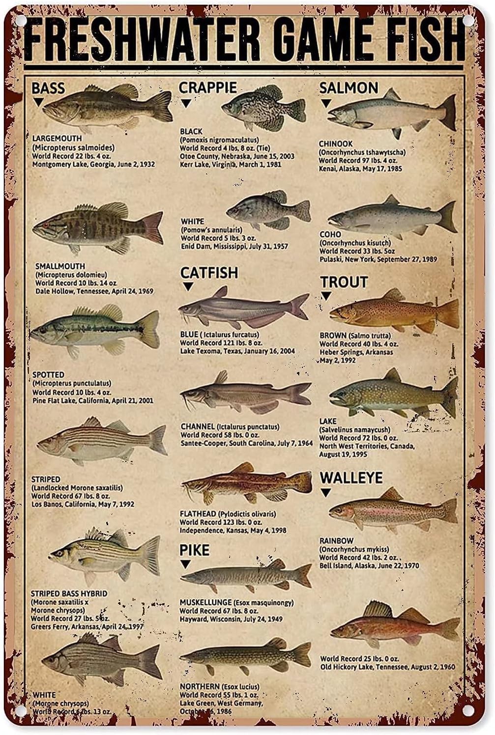 Freshwater Game Fish Metal Tin Signs Popular Science School Farm Aquarium Garage Club Vintage Plaque Poster Home Wall Decor Gift 8x12inch