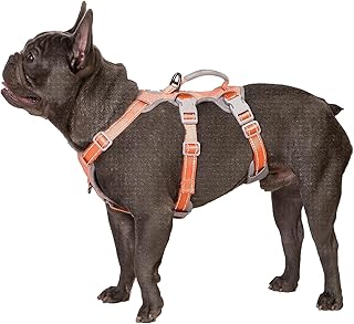 Huntboo Sicherheitsgeschirr Hund Ausbruchsicher, Panikgeschirr für Hunde, Reflektierendes Geschirr mit Gepolstertem Griff, Verstellbare Weste für Kleine Hunde, die Spazieren Gehen (Orange,S) product image