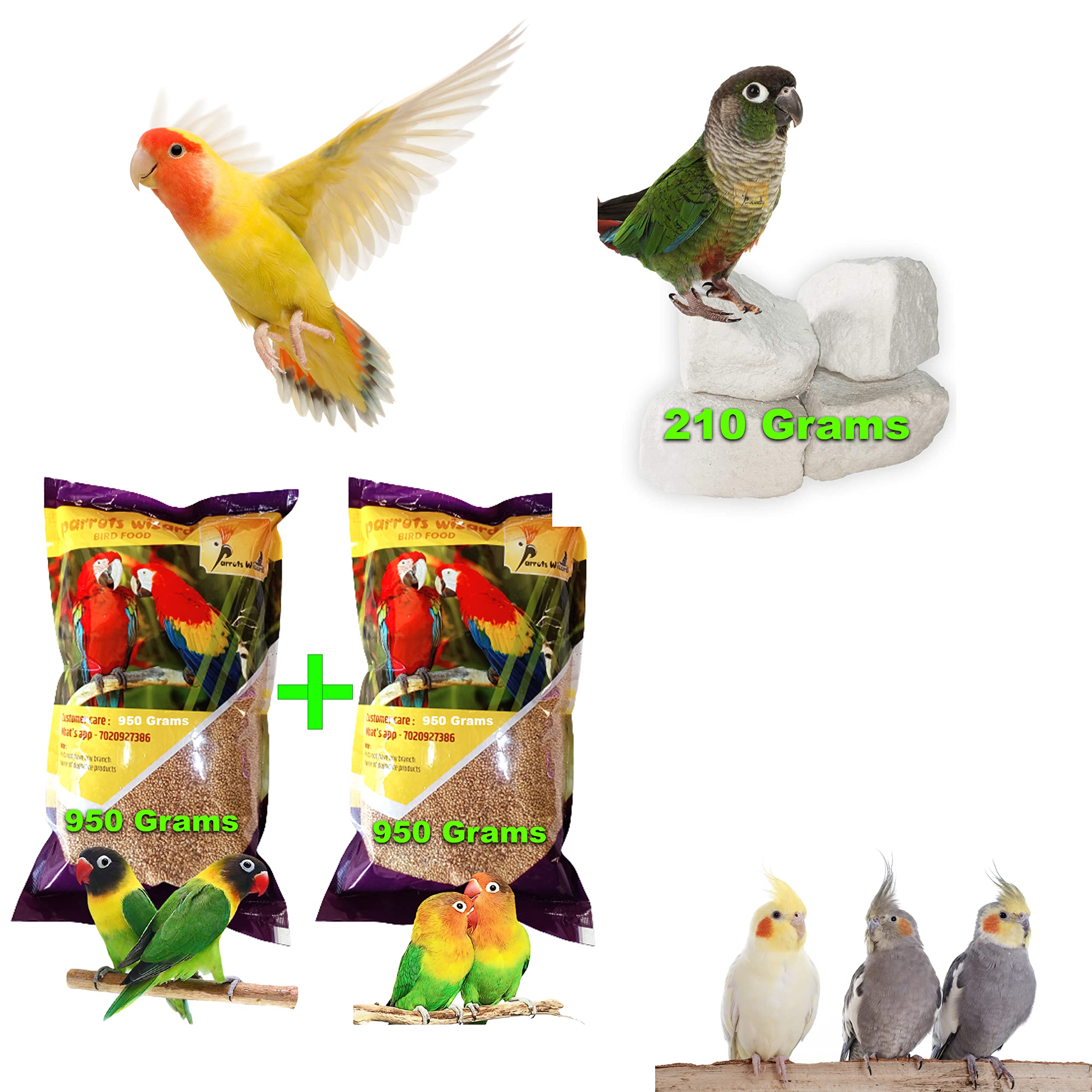 Parrots Wizard, Natural Mineral Block for Parrots (210 gm) and Kangni Bird Food (1900 gm) Combo Pack (B09XXXZVFL) Amazon Price History, Amazon Price Tracker