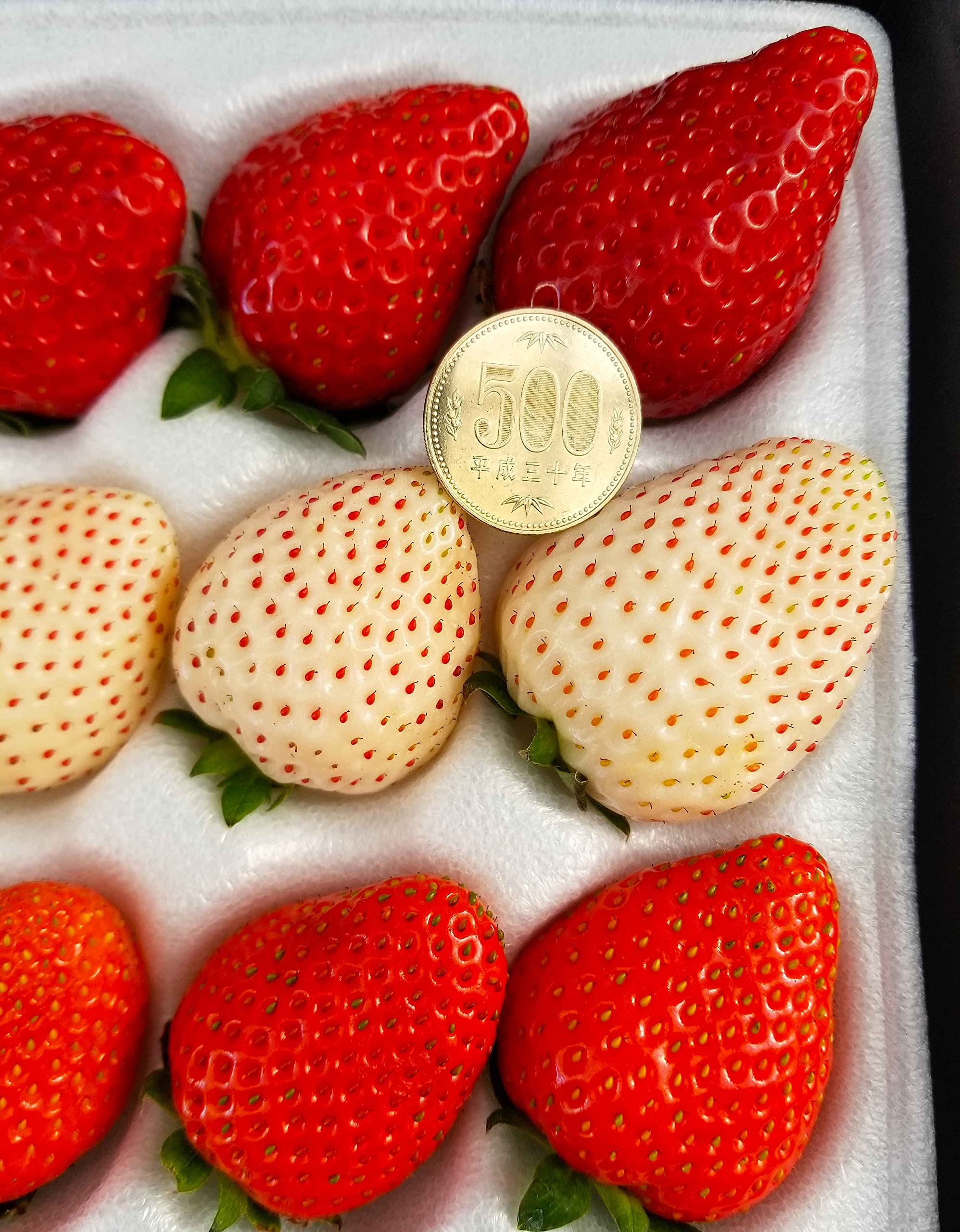 Amazon | 【2箱】贈答用 最高級 いちご 食べ比べ 大粒15-12粒 天使 