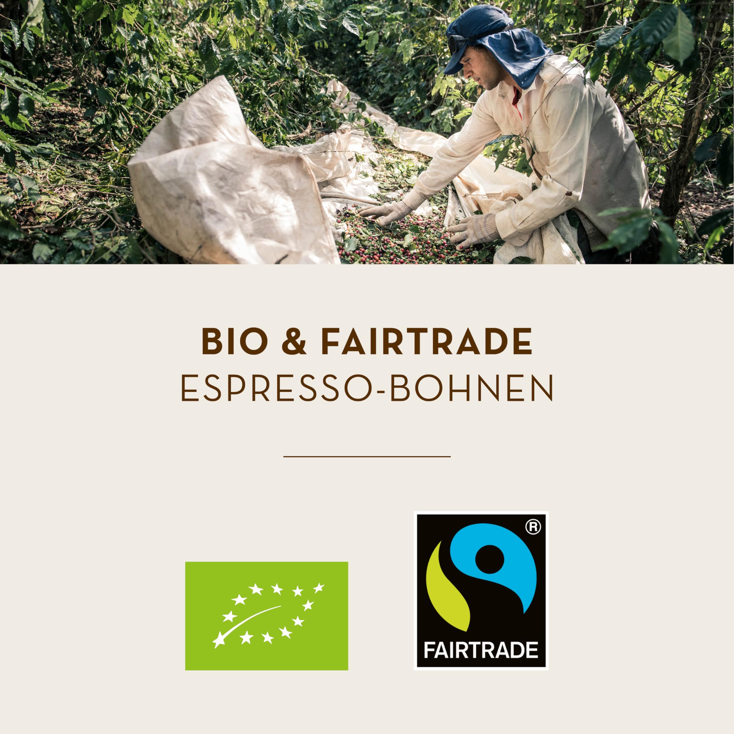 J. Hornig Kaffee gemahlen Bio & Fairtrade, Alles Bio, 500g, Arabica & Robusta, kräftiger Bio-Kaffee mit Noten von Kakao & Malz, für Filterkaffee, Espressokocher & French Press, Stärke 4/5