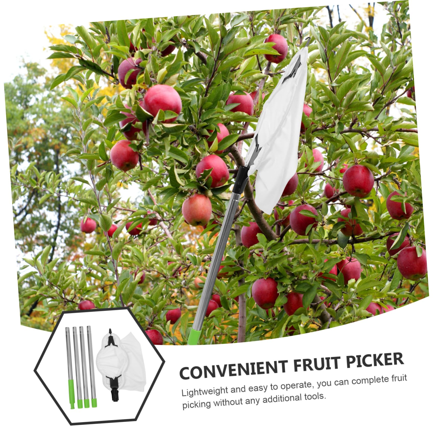 iplusmile 1juego Recolector De Frutas Extensible Cesta Padded Herramienta De Recolección De Manzanas y Varilla Ajustable De Árboles Frutales