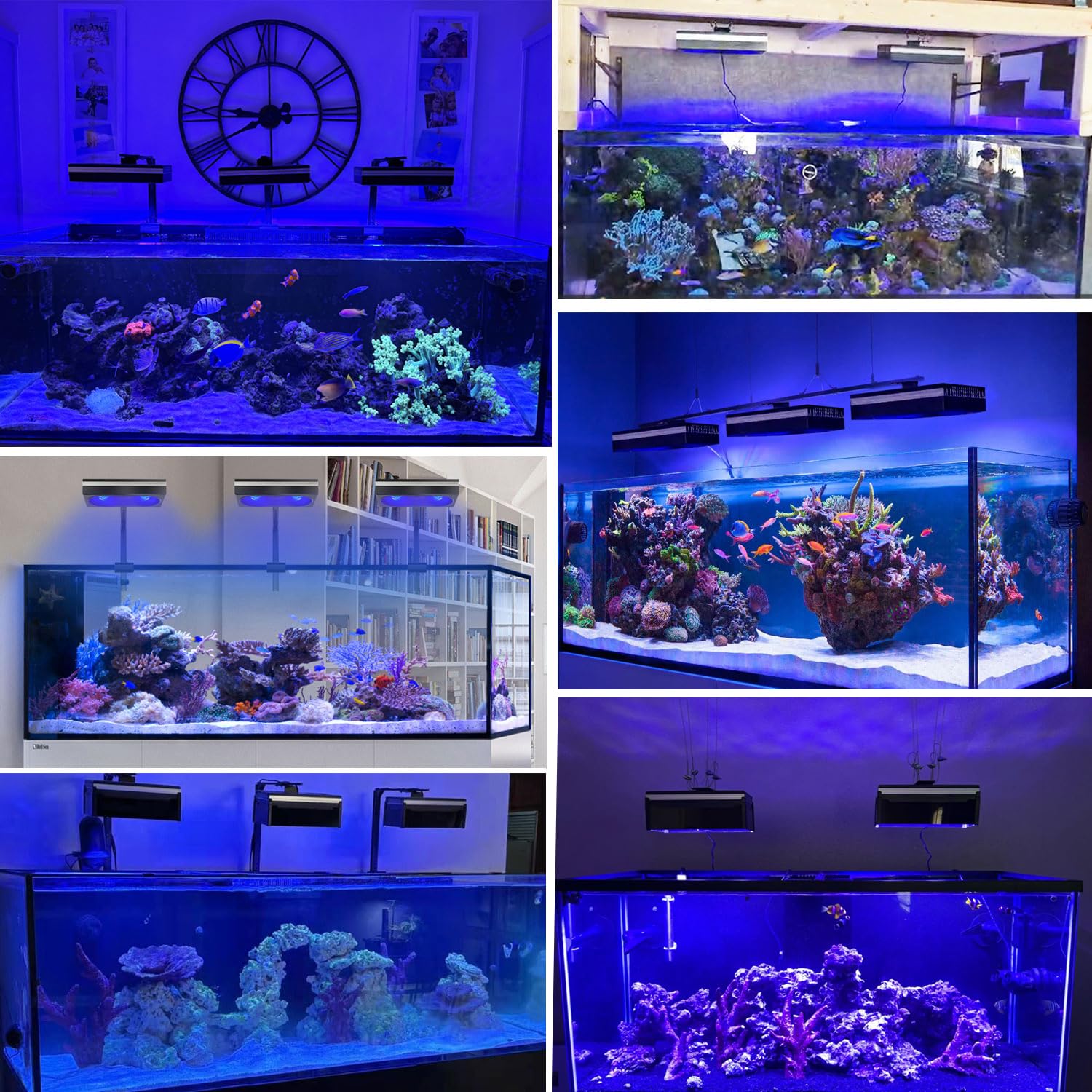 PopBloom 2X RL180 spettro completo led acquario marino, lampada per acquario Luce per pesci d'acqua salata 120cm 150cm