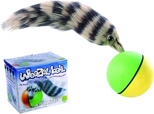 OOTB - Pelota de salto rodante para gatos