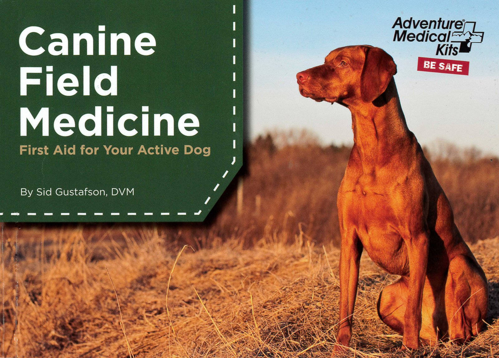 Best Hunting Dogs for Birds, Big and Small Game, and Tracking Field Medicine
