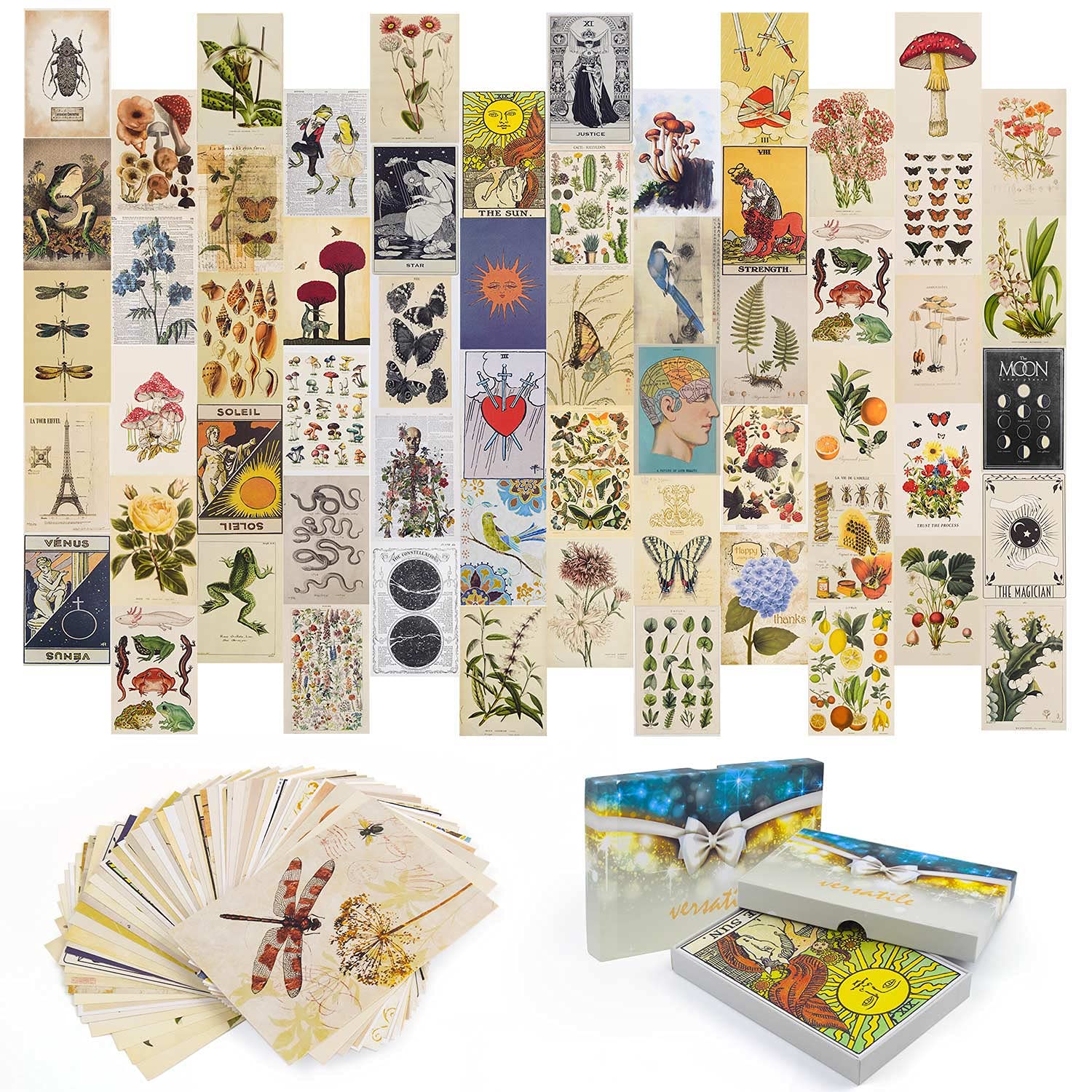 Buy Wall Collage Kit Aesthetic Pictures, 60 Set 4x6 inch Wall Collage , Botanical Vintage Wall