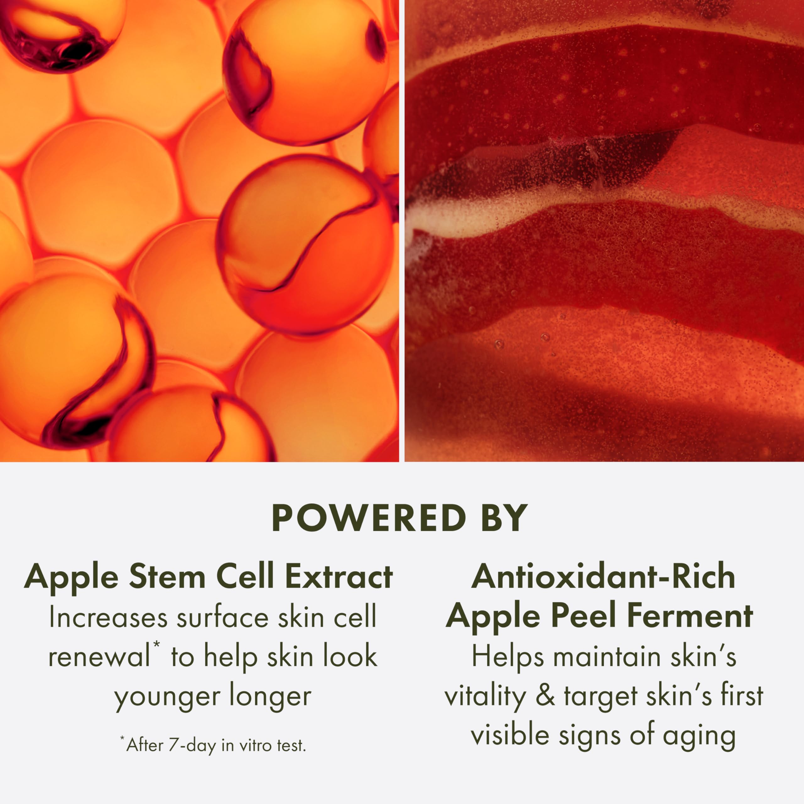 Origins Youthtopia Liquid Exfoliating Apple Face Peel | Refines Pores & Smooths Skin | Hydrating Toner With Glycolic Acid & Apple Stem Cells, 3.4 Fl Oz