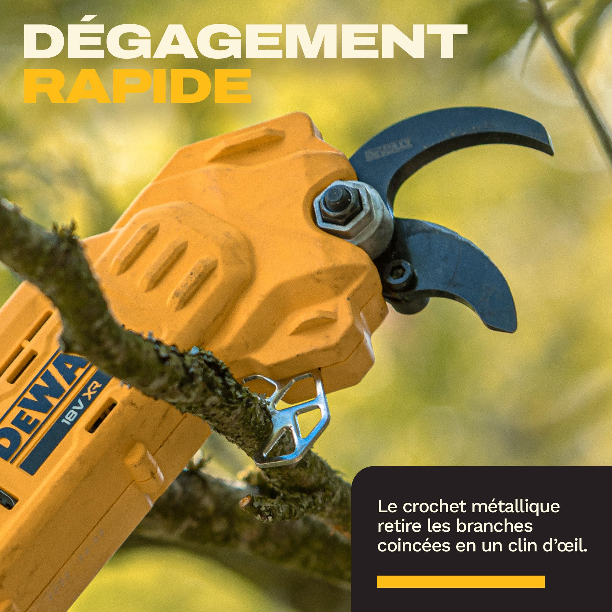 DEWALT 18V XR Élagueuse sur Perche Professionnelle ; Puissance et précision pour la coupe des branches en hauteur, Outil seul, DCMPP569N-XJ